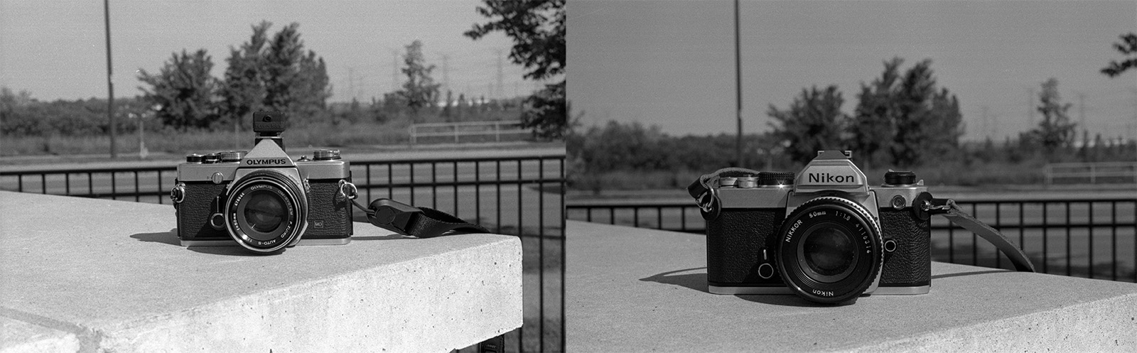 An Olympus OM-1n and Nikon FM shot on each other.