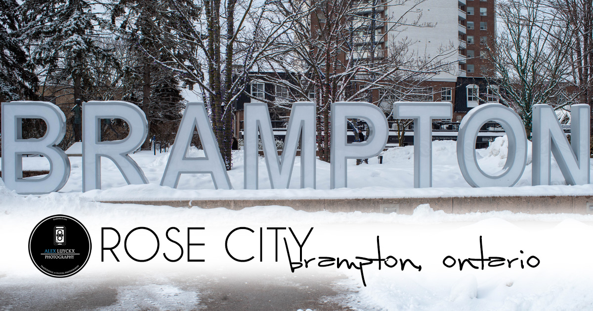 Rose City | Brampton, Ontario